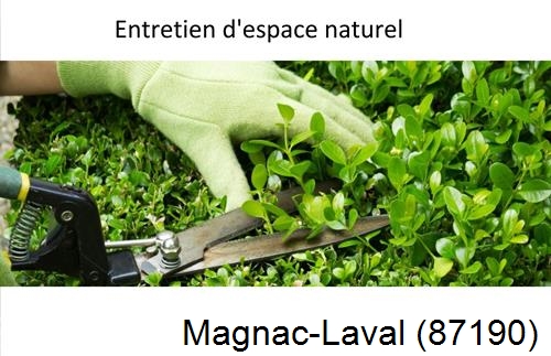 Rénovation jardin particulier Mailhac-sur-Benaize-87160