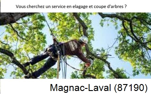 Etêtage d'arbres à Magnac-Laval-87190