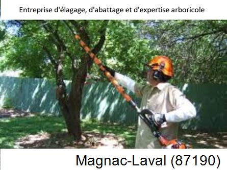 Coupe tête d'arbres Magnac-Laval-87190