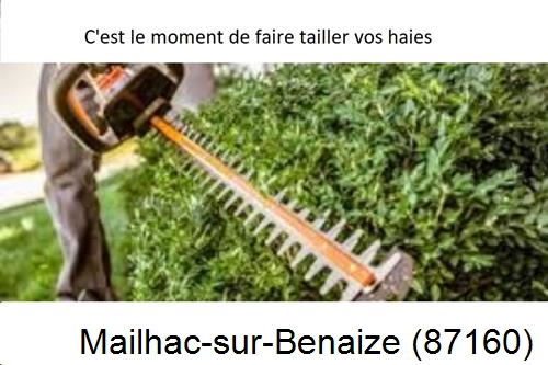 Entreprise de paysage Mailhac-sur-Benaize-87160
