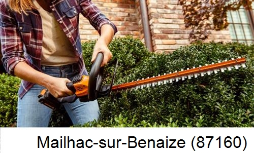 entretien jardin par paysagiste Mailhac-sur-Benaize-87160