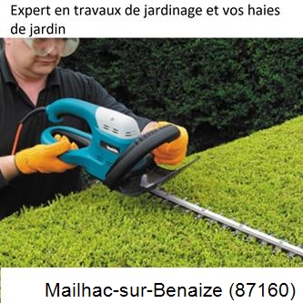 Taille et entretien jardin Mailhac-sur-Benaize-87160