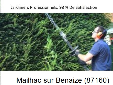 Paysagiste Mailhac-sur-Benaize-87160