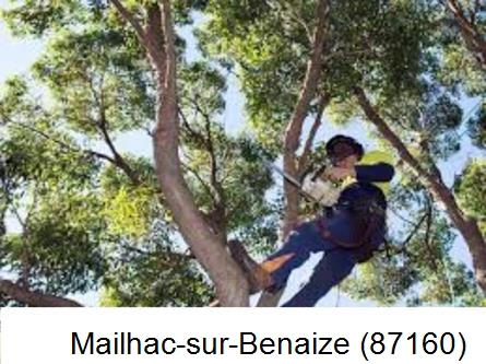 Elagueur à Mailhac-sur-Benaize-87160
