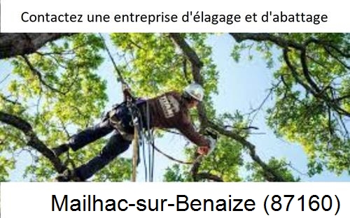 Travaux d'élagage à Mailhac-sur-Benaize-87160