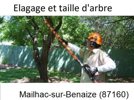 Elagage chez particulier Mailhac-sur-Benaize-87160