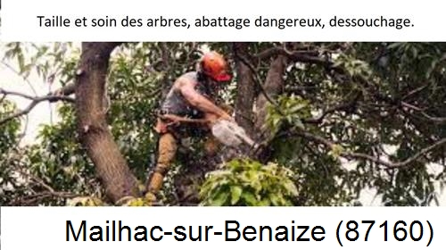 Abattage d'arbres Mailhac-sur-Benaize-87160