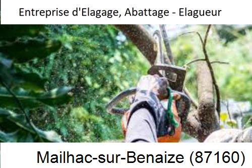 Travaux d'abattage d'arbres à Mailhac-sur-Benaize-87160