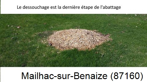 déssouchage d'arbres Mailhac-sur-Benaize-87160