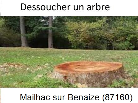 Travaux d'entretien extérieur Mailhac-sur-Benaize-87160