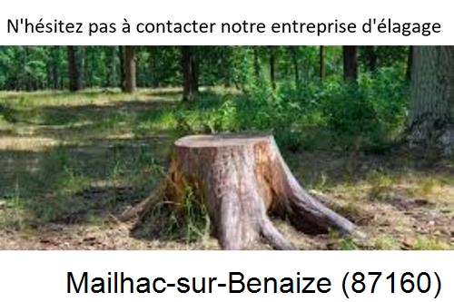 Elagage d'arbres à Mailhac-sur-Benaize-87160