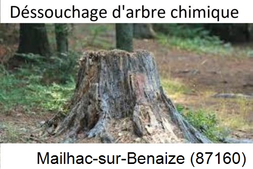 Elagueur déssouchage à Mailhac-sur-Benaize-87160