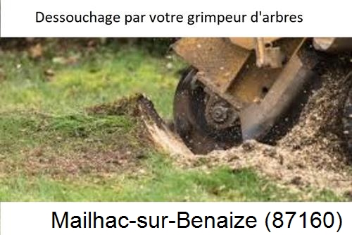 abattage d'arbres à Mailhac-sur-Benaize-87160