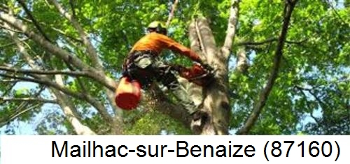 Déssouchage, étêtage d'arbres Mailhac-sur-Benaize-87160