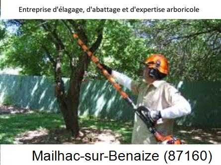 Coupe tête d'arbres Mailhac-sur-Benaize-87160