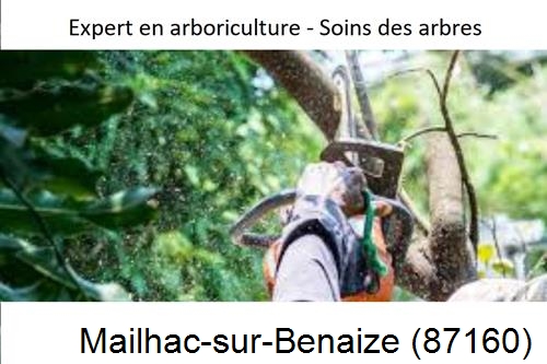 Elagage en sécurité à Mailhac-sur-Benaize-87160
