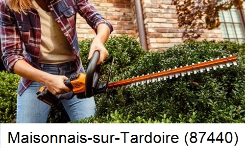 entretien jardin par paysagiste Maisonnais-sur-Tardoire-87440