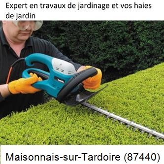 Taille et entretien jardin Maisonnais-sur-Tardoire-87440
