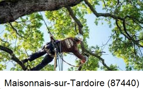 Abattage d'arbres chez un particulier Maisonnais-sur-Tardoire-87440