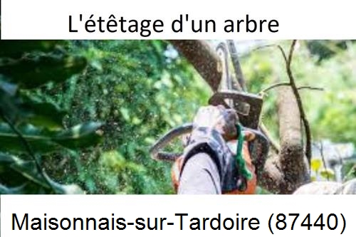 Artisan Abatteur d'arbres Maisonnais-sur-Tardoire-87440