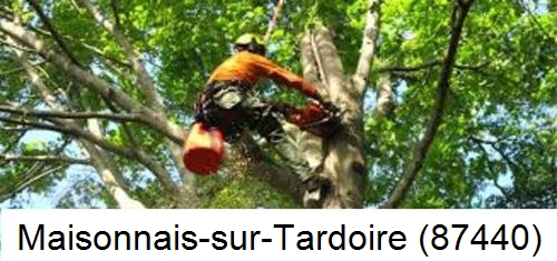 Entreprise du paysage Maisonnais-sur-Tardoire-87440