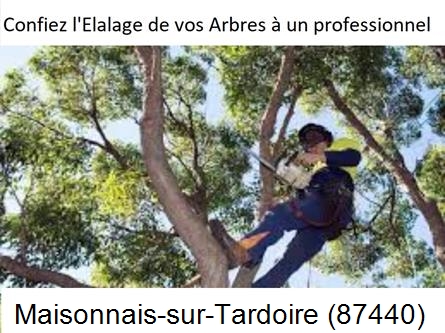 Société d'élagage à Maisonnais-sur-Tardoire-87440