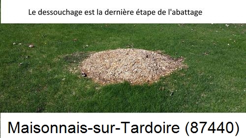 déssouchage d'arbres Maisonnais-sur-Tardoire-87440