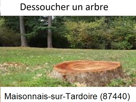 Travaux d'entretien extérieur Maisonnais-sur-Tardoire-87440