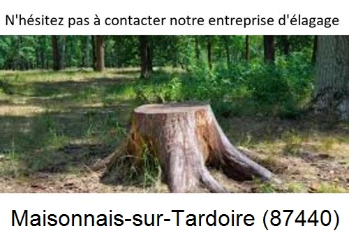Elagage d'arbres à Maisonnais-sur-Tardoire-87440