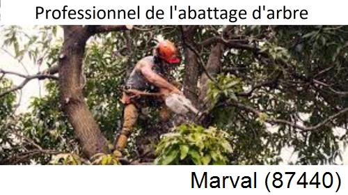 Elagage d'arbres Marval-87440
