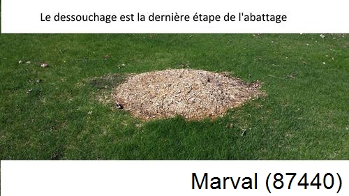 déssouchage d'arbres Marval-87440