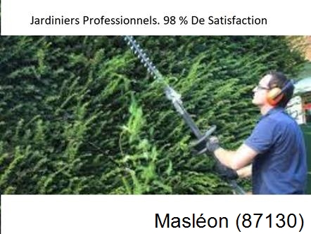Paysagiste Masléon-87130