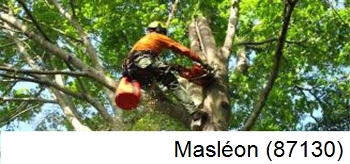 Entreprise du paysage Masléon-87130