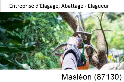 Travaux d'abattage d'arbres à Masléon-87130