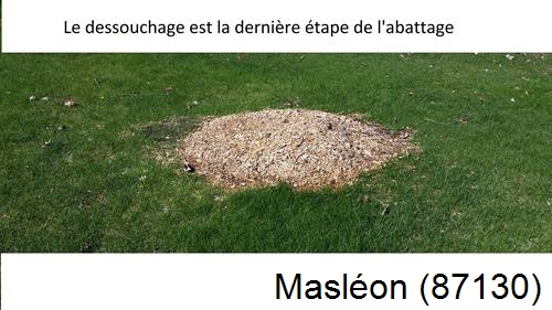 déssouchage d'arbres Masléon-87130