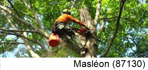 Déssouchage, étêtage d'arbres Masléon-87130
