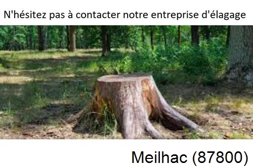 Elagage d'arbres à Meilhac-87800