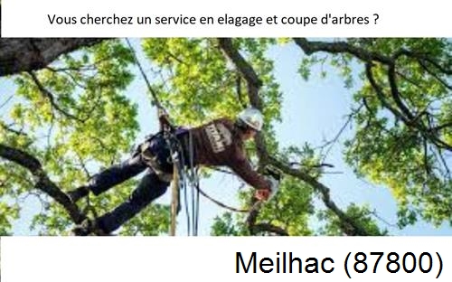 Etêtage d'arbres à Meilhac-87800