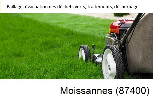 Entreprise de paysage pour entretien de jardin Montrol-Sénard-87330