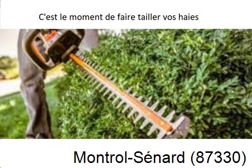 Entreprise de paysage Montrol-Sénard-87330