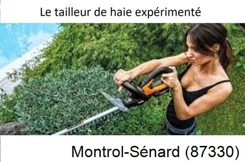 entretien jardin à Montrol-Sénard-87330