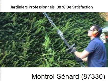 Paysagiste Montrol-Sénard-87330