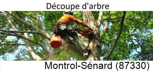 Entreprise du paysage Montrol-Sénard-87330