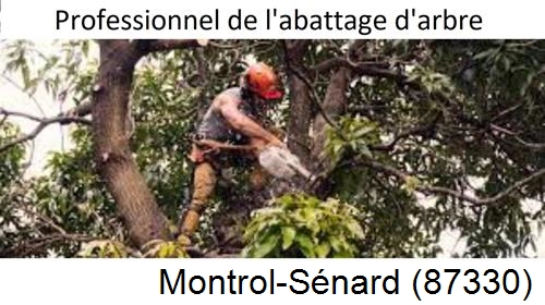 Elagage d'arbres Montrol-Sénard-87330