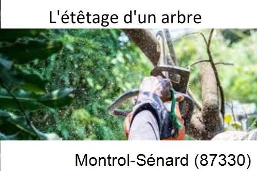 Artisan Abatteur d'arbres Montrol-Sénard-87330
