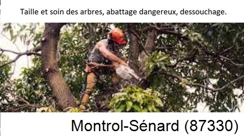 Abattage d'arbres Montrol-Sénard-87330