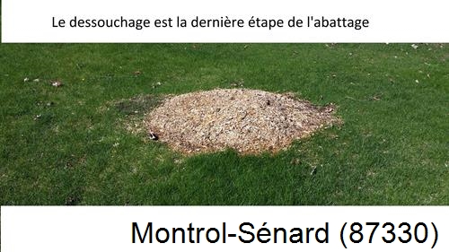 déssouchage d'arbres Montrol-Sénard-87330