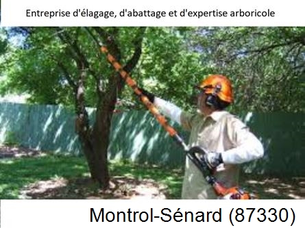 Coupe tête d'arbres Montrol-Sénard-87330