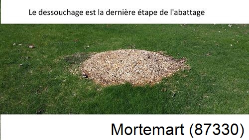 déssouchage d'arbres Mortemart-87330