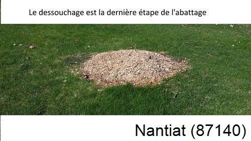 déssouchage d'arbres Nantiat-87140